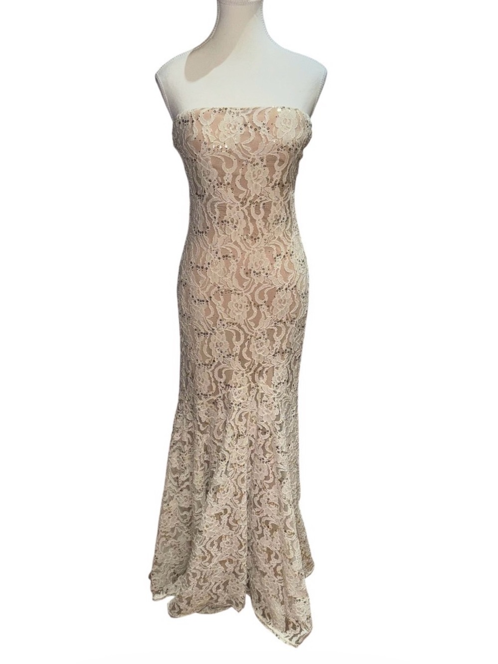 Strapless lace mermaid gown